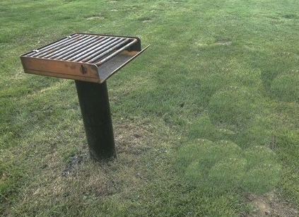 BBQ stand
